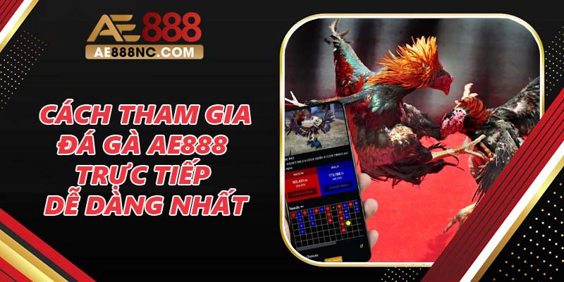 Các cách tham gia đá gà AE888 trực tiếp dễ dàng nhất Các cách tham gia đá gà AE888 trực tiếp dễ dàng nhất