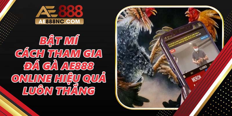 Bật Mí Cách Tham Gia Đá Gà Ae888 Online Hiệu Quả Luôn Thắng Bật Mí Cách Tham Gia Đá Gà Ae888 Online Hiệu Quả Luôn Thắng