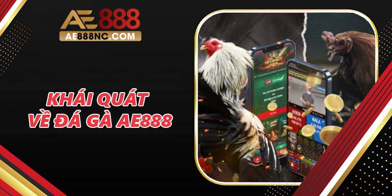 Khái quát về đá gà AE888 Khái quát về đá gà AE888