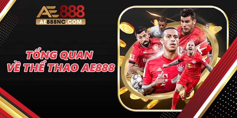 Tổng quan về thể thao AE888 Tổng quan về thể thao AE888